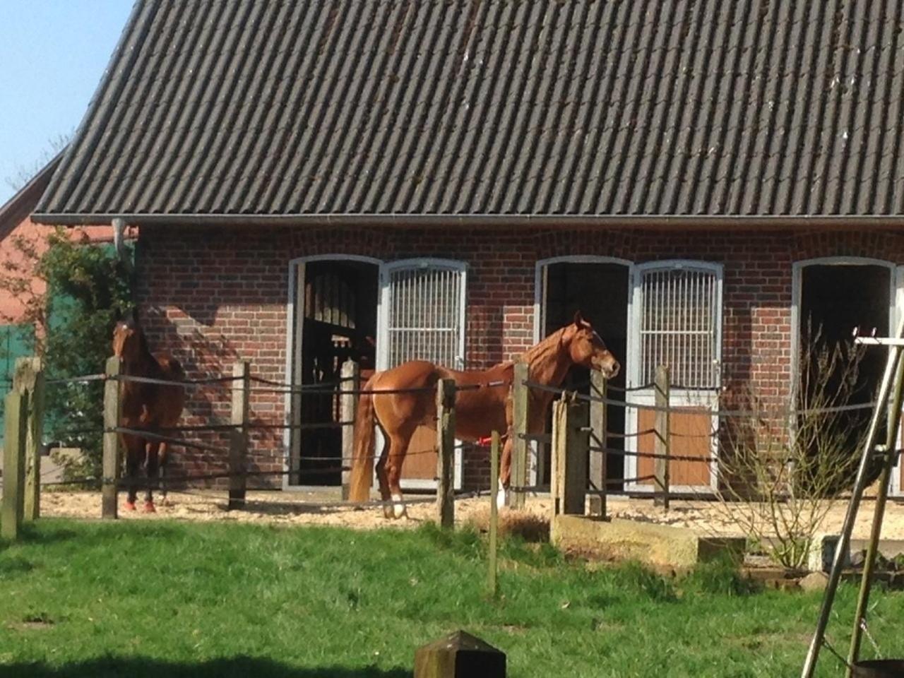 Ferienwohnung Gästehaus Peerhus Dönsel - peerknecht Rehden Exterior foto